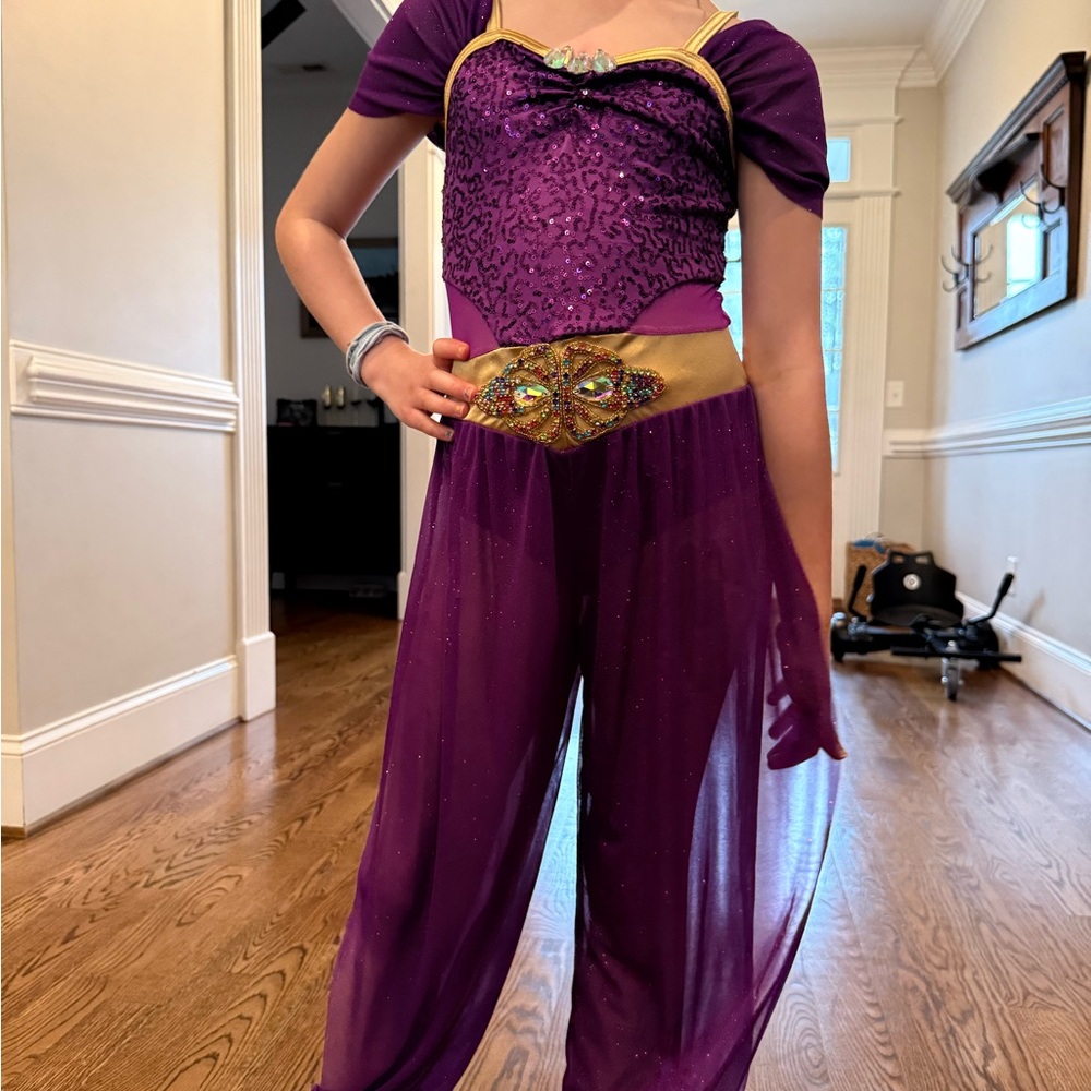 Purple and Gold Jasmine Inspired Child’s Dance Costume